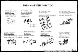 Bug Advocacy Funny Software Programmer Jokes Software Testing