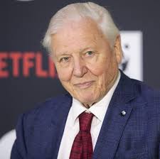 Sir David Attenborough responds to rumours about his future