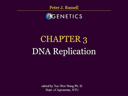 Ppt Chapter 3 Dna Replication Powerpoint Presentation Free Download Id 29932