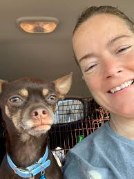 🐾 Hello I Love St Pete members!🐾 I am Erica McChesney, veterinary nurse,  and owner of Farley Pet Care in St Pete. We're excited to announce that  this weekend, we are launching