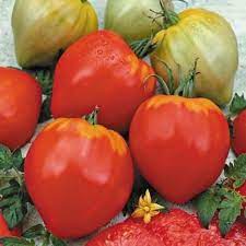 Die auffallend herzförmigen tomatenfrüchte werden bis zu 180g schwere. Tomate Fleurette Moins Cher