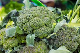 Broccoli Health Benefits Risks Nutrition Facts Live Science