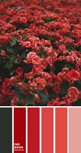 Color #ff0000 contains mainly red color. Red Color Combo Color Palette 35 1 Fab Mood Wedding Colours Wedding Themes Wedding Colour Palettes