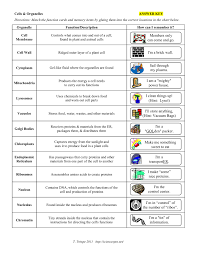 Cellsorganelleswkst 2 Pages 1 3 Text Version Anyflip