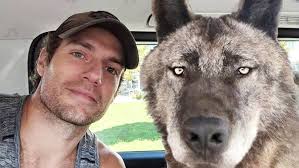 MEET SHAGGY 🐶✨ @katespade #katespadeny #shorts