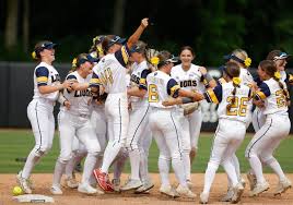 Image result for Sorindeia winkleri