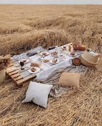 5 Picnic Essentials To Try This Summer - SA Decor & Design