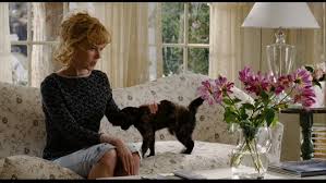 His agent gets him a job on a remake of the bewitched television show as darrin stephens. Nicole Kidman S Cottage In The Bewitched Movie Cottage Bewitching Home Tv