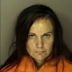 Horry County Mugshots February 11th, 2025