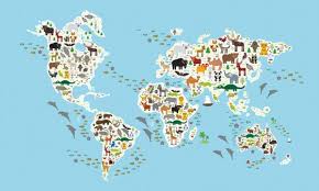 We did not find results for: Papier Peint Carte Du Monde Des Animaux Pour Chambre D Enfant