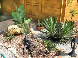 Pflanzen Fur Steingarten Aloe Vera Und Andere Kaktenarten Gartengestaltung Rock Garden Plants Garden Und Jade Plants