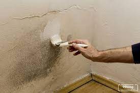 Check spelling or type a new query. Intip Cara Mengatasi Tembok Lembab Dan Cat Mengelupas Di Rumah