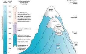 Into Thin Air The Science Of Altitude Acclimation Irunfar Com