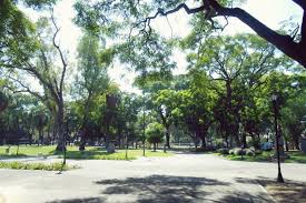Image result for parque