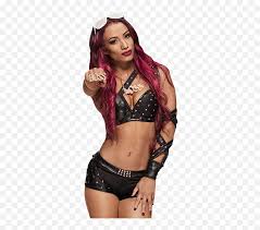 Seeking for free sasha banks png images? Download I Justlove Sasha Banks So Much Sasha Banks In Diapers Png Free Transparent Png Images Pngaaa Com