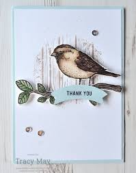 Birds And Blooms 2019 Photo Contest Winners Best Birds Birds Blooms By Stampin Up Bedlam And Butterflies Stamping Up Cards Bird Cards Cards Handmade