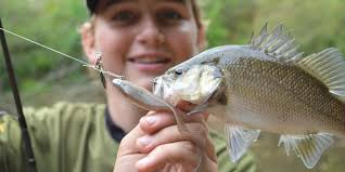 The Central Coast — Tackle Tactics