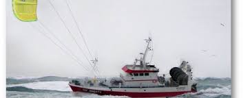 images?q=tbn:ANd9GcTS6v4nj6TaibZ0EDGy4Mv