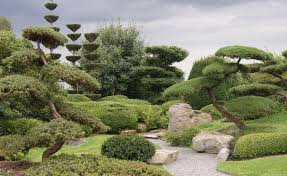 Gestaltungstipps Fur Japanische Garten Japanischer Garten Garten Chinesischer Garten