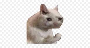 Download now the free icon pack 'cats emoji'. Free Png Images Sad Cat Discord Emoji Free Transparent Png Images Pngaaa Com