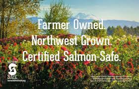 Maybe you would like to learn more about one of these? Seattle Wholesale Growers Market United States Washington Seattle Slow Flowers