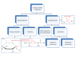 File Biodegradable Polymers Flow Chart 3 Png Wikimedia Commons