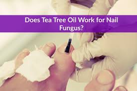 Tea tree oil is an essential oil that appears to have antifungal properties. Does Tea Tree Oil Work For Nail Fungus The Healthy Apron
