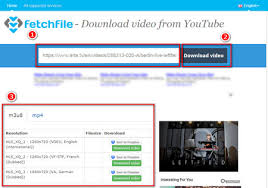You want to watch your favorite videos even when you're not connected to the internet. Best Free Arte Downloader Download Arte Videos Freely Effortlessly And In Original Quality