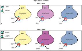 Because snris also target norepinephrine receptors as well as serotonin receptors, snris tend to have more side effects than ssris. Antidepressants Stahl S Essential Psychopharmacology Neuroscientific Basis And Practical Applications 4th Ed