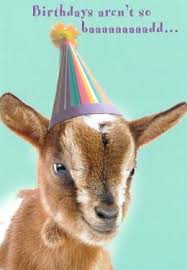Goat Birthday Happy Birthday Goat Birthday Meme Goats