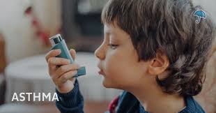 Basement Mold Causes & Prevention in NJ