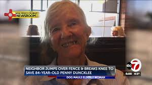She's resilient': Las Cruces elderly woman survives dog attack after  neighbor rushes in to help