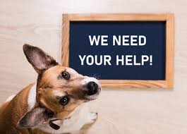 Berikut contoh soal offering help. Asking And Offering Help Pengertian Penggunaan Contoh Dialog Necerz Com