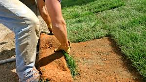 Check spelling or type a new query. How To Lay Sod To Start A New Lawn