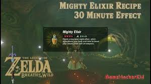 Which essentially meant he bought every video game magazine available and . Zelda How To Make 30 Minute Mighty Elixir Youtube