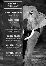 Project Elephant - A Comprehensive ...