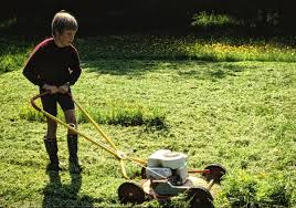 Buying a lawn mower may seem like a routine task. 10 Best Lawn Mowers Of 2021 Reviews Lawnstarter