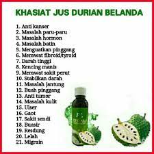Minuman kesihatan yang tinggi khasiat serta mampu meringankan pelbagai hari ini saya ingin kongsikan kepada semua tentang khasiat buah durian belanda. Khasiat Durian Belanda Plus Photos Facebook