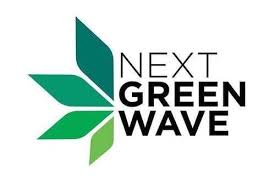 Maybe you would like to learn more about one of these? Next Green Wave Opens Online Cbd Marketplace With Wide Range Of Products Green Wave Positive Cash Flow Waves