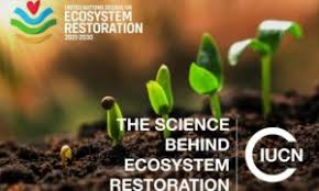 Who joins un mission to prevent, reverse degradation of ecosystems. World Environment Day Geneva Environment Network