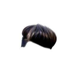 New Hair Png Hair Png Photoshop Hair Photoshop Backgrounds Free