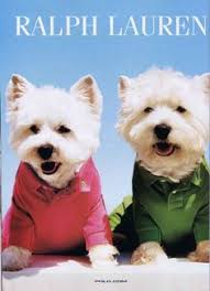 Discover 900+ Westies are the Besties!!! and westies ideas