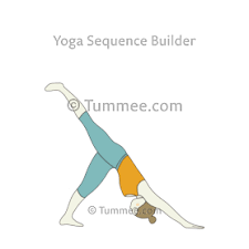 Three Legged Downward Facing Dog Pose Yoga Tri Pada Adho Mukha Svanasana Eka Pada Adho Mukha Svanasana Yoga Sequences Benefits Variations And Sanskrit In 2020 Yoga Poses Vinyasa Flow
