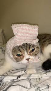 FRÖKEN SNUSK FACE REVEAL!!!! MELFEST JALLA