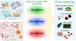We think that everyone needs a short film to help explain what it is that make your company special and unique.… Ijms Free Full Text Biomimetic Layer By Layer Self Assembly Of Nanofilms Nanocoatings And 3d Scaffolds For Tissue Engineering Html