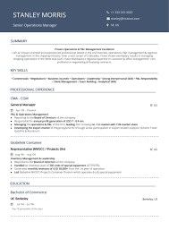 Best Operations Resume Top 10 Operations Resumes In 2020 With Samples