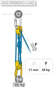 Ensayos de eficacia y rendimiento de polipastos con MAESTRO, I'D S, PRO TRAXION, ROLLCLIP... - Petzl España