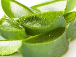 Image result for aloe vera