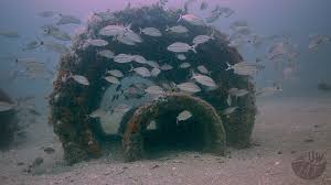 Let's learn how to make faux corals? Artificial Reef Material 5 Years In The Ocean Youtube