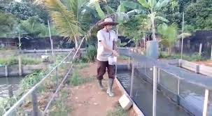 Ipm kaltara 2020 capai 70,63 persen tanjung selor, indeks pembangunan manusia merupakan indikator penting selengkapnya. Personel Polsek Sesayap Budidaya Ikan Dan Tanam Sayuran Sebagai Bentuk Program Ketahanan Pangan Tribratanews Polda Kaltara